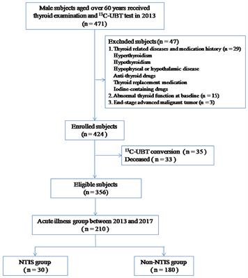 Higher Prevalence of Non-thyroidal-Illness Syndrome in Elderly Male Patients With Active Helicobacter pylori Infection